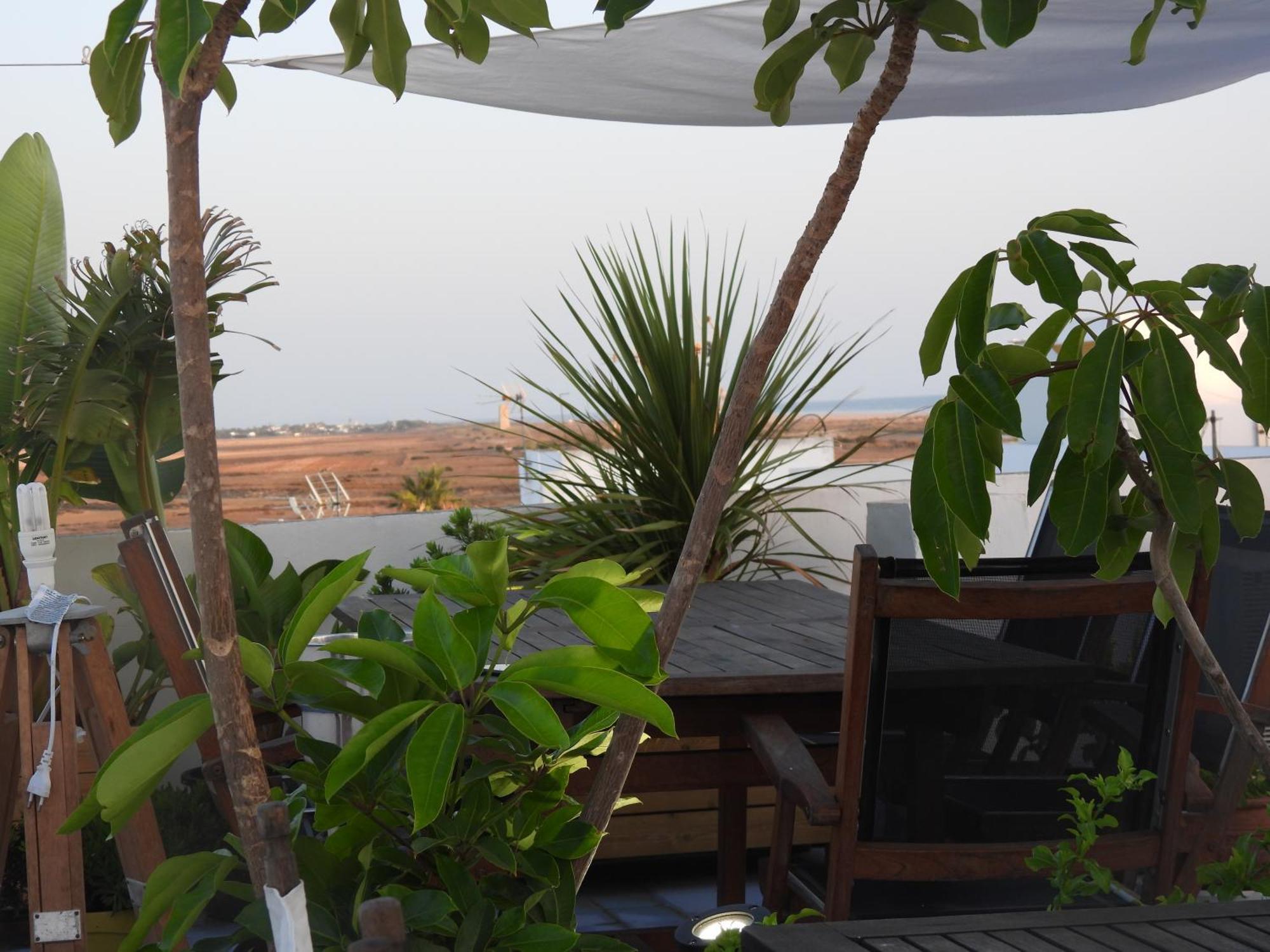 Apartament Aba Dali